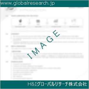 グローバルリサーチ調査資料のイメージ